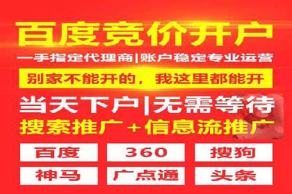 SEM广告投放案例：打造品牌影响力